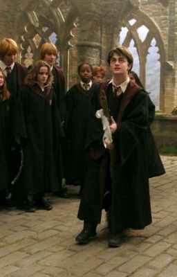 Хогвартс. Новая история