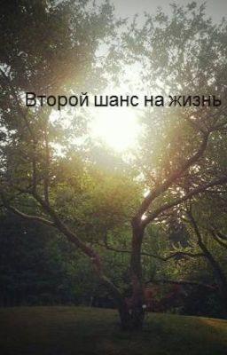 Второй шанс на жизнь