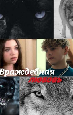 Враждебная любовь 