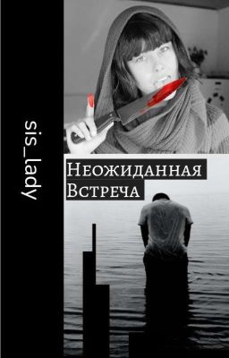 Неожиданная встреча