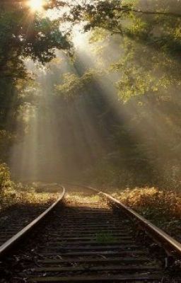 Под пеленою сна