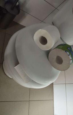 Голубь и милашка