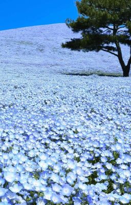 Странные Записки