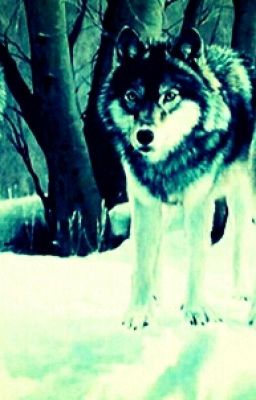 Три влюбленных волка