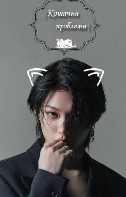°Кошачья проблема°