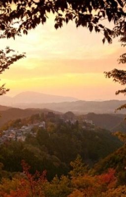 прошлая жизнь