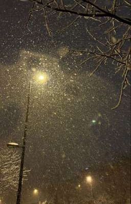 Тайные чувства