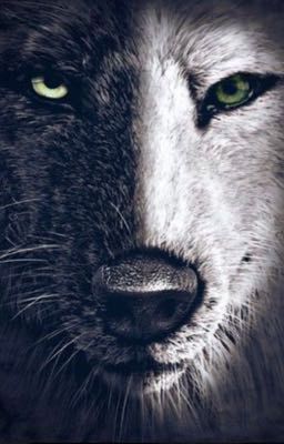 Непокорная пара для Альфы (редактируется)