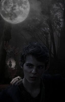 Роза догоревшей игры 