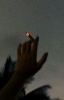 Вероника Хартман