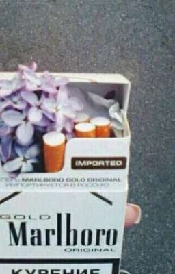 Пачка Malboro и учебник химии 