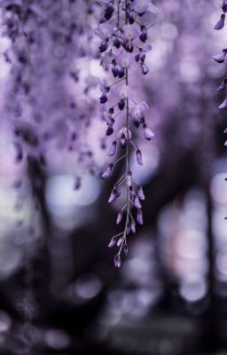 Незапланированный персонаж