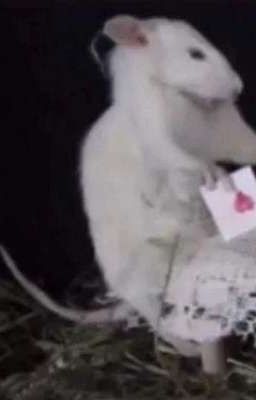 жизнь автора