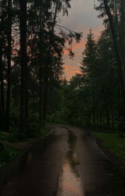 Счастливого Пути 