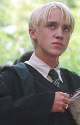 Шивтинг-Ева Янг.