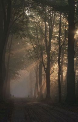 Приключения Минервы. Часть 1: Путешествие в Город.