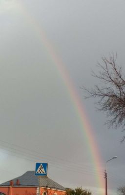 Девушка и Вампиры