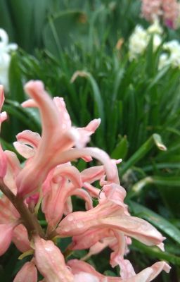 Занимайся жизнью!!!