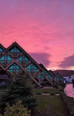 Лагерь с Дмитрием Матвеевым 