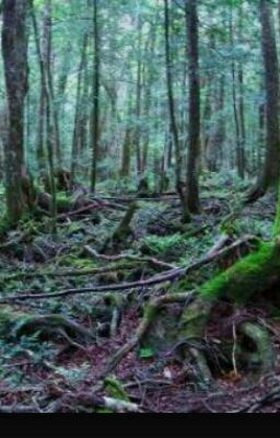 Лес самоубийц