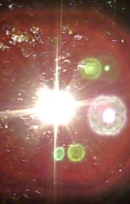 Привет Полина! Это мой фанфик по Саша/Влад..