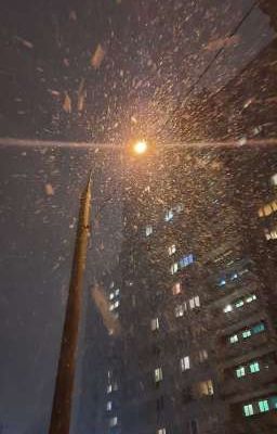 Застывшая боль