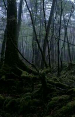 Жизнь после смерти