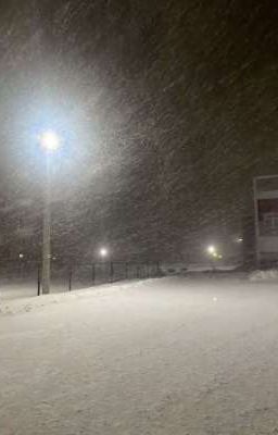 Холодная тьма