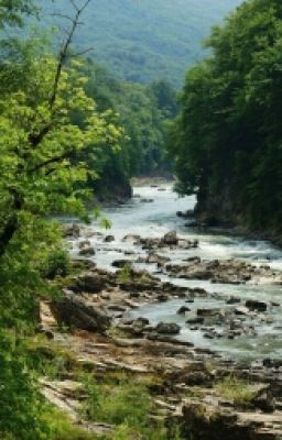 Райский Сад