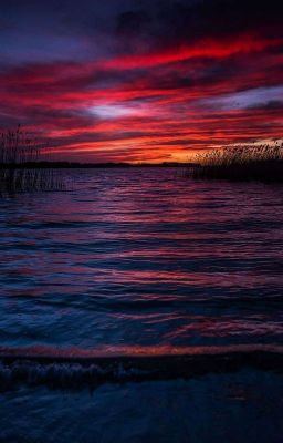 То что я боюсь сказать тебе