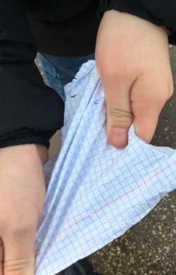 жизнь двух девушек и листочка