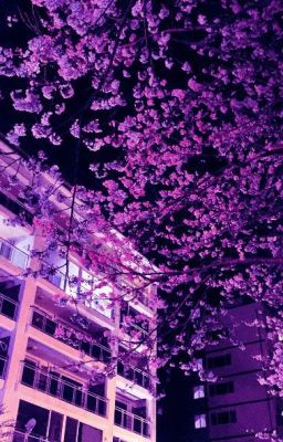 правда или действие?