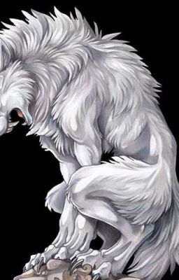 Ночь. Полнолуние