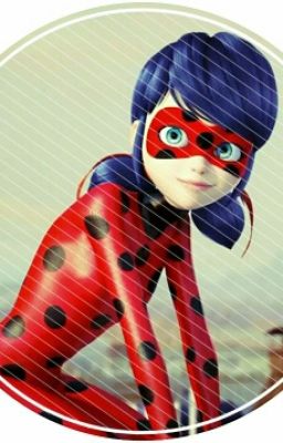 Ты всё не так поняла (Леди Баг и Кот Нуар)