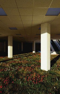 Потерянный в будущем. Том 1: Портал между временами