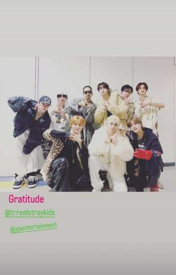 Фанфик про стрей кидс и ти