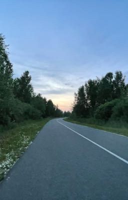 Компания❤️‍🩹