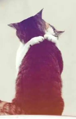 долгие объятия