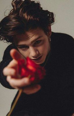 дикая любовь 