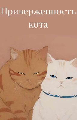 Приверженность кота