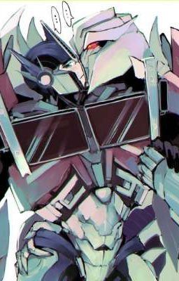 Мой по назначению