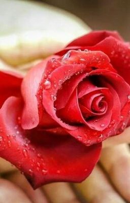 Наследник 2