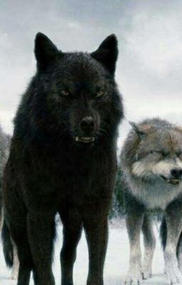 моя малышка