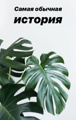 Самая обычная история.