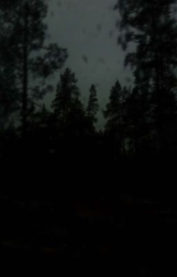 Тайлер и его жизнь