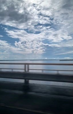 Лето, которое она не забудет!