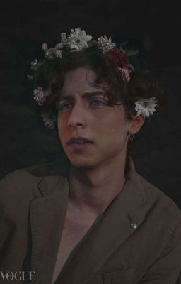 В Погоне За Счастьем 