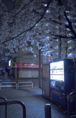 Любовь или ненависть? 