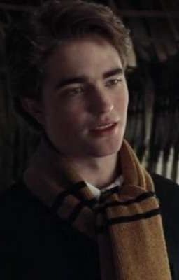 Лучший друг