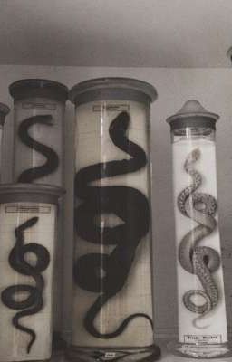 Не двигайся